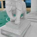 徐州 白麻花岗岩动物异形石雕-大象