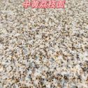 徐州黄金麻中黄荔枝面