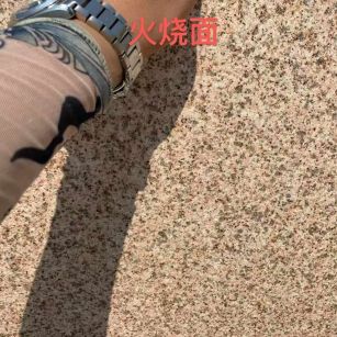 徐州黄金麻火烧面